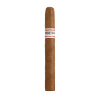 BUENA VISTA Dark Fired Ken Chu