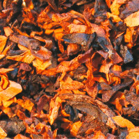 SAVINELLI Aroma