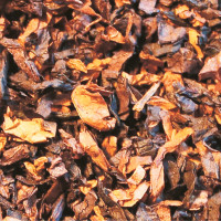 Savinelli Mister G/Black Caven