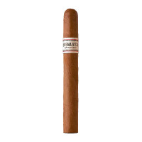 BUENA VISTA Araperiq Churchill