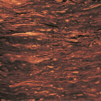 SOLANI Virginia Flake