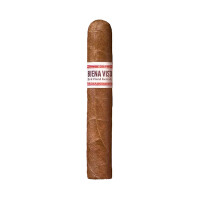 BUENA VISTA Dark Fired Ken Rob