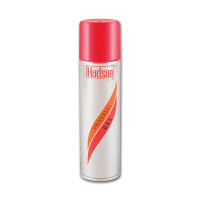Gas HADSON 250ml gallery