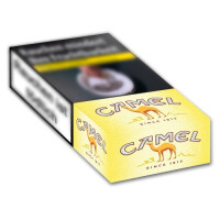 CAMEL Yellow Long XXL12,0(8x30