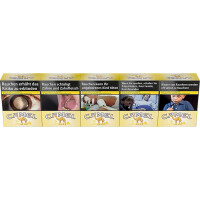 CAMEL Yellow XXL10,00 (10x24) gallery
