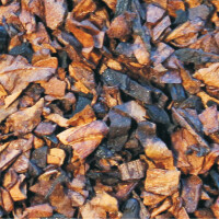 SAVINELLI English